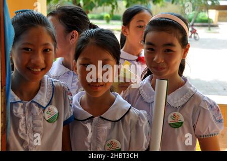 2010s Vietnam: USAID unterstützt die Ausbildung von Wurmmitteln und die Verteilung von Medikamenten in der Provinz Bac Giang, ca. 20 Mai 2013 Stockfoto