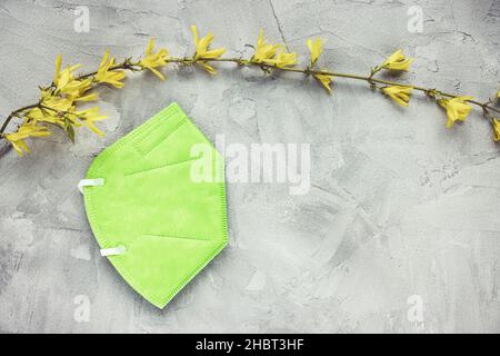 Grüne Atemmaske KN95 oder FFP2 auf grauem Hintergrund und frische gelbe Forsythia-Blüten, Kopierraum. Frühling und neue Regeln und Lockdown gegen Coronavirus Covid 19 Stockfoto