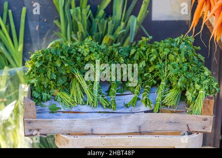 Bündeln von Petersilie auf dem Markt der Holzkratzbauern Stockfoto