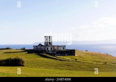 Kühe grasen in den Ruinen des Ribeirinha Leuchtturms, Faial Island, Azoren, Portugal, Erdbeben beschädigte Ruinen des Pontinha Sao Pedro Leuchtturms außen Stockfoto