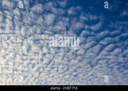 Blick auf die weiße Altocumulus-Wolke vor einem blauen Himmel Stockfoto