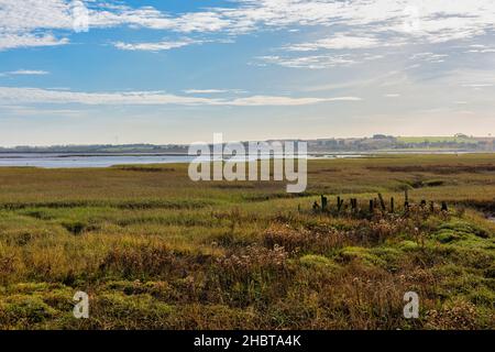 River Medway Estuary bei Low Tide bei Upchurch in Kent, England Stockfoto