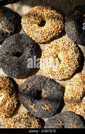 Frisch gebackene Sesam- und Mohn-Bagels. Nahaufnahme. Stockfoto