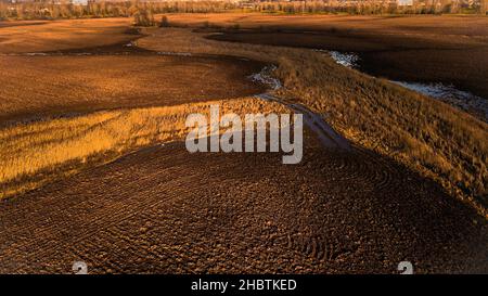 Goldenes Feld mit stehendem Wasser und Bäumen Stockfoto