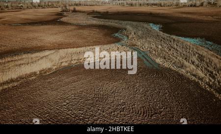 Goldenes Feld mit stehendem Wasser und Bäumen Stockfoto