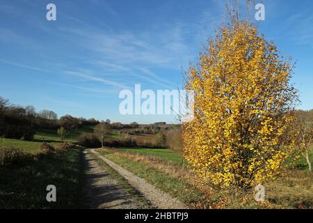 Ein Blick auf eine Herbstlandschaft mit Feldern, Bäumen und Wiesen an einem klaren Tag und einem bewölkten Himmel Stockfoto