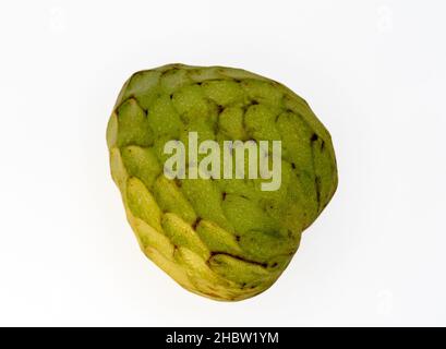 Cherimoya tropische Frucht isoliert auf weiß Stockfoto