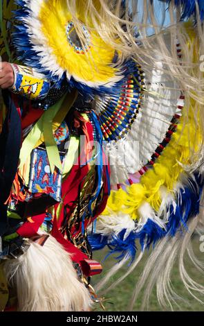 Nahaufnahme des ausgefallenen Tänzerkostüms eines indigenen Mannes mit gelben, blauen und weißen Federn auf der Hektik und Rollstulpen, die bei einem Pow-Wow getragen werden. Stockfoto