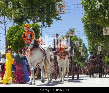 Sevilla, Provinz Sevilla, Andalusien, Südspanien.  Feria de Abril, April Fair.  Pferd und Wagen Parade. Stockfoto