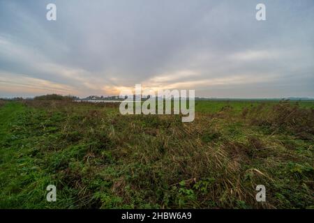 Herbstlandschaft des Naturschutzgebietes Polder Groot-Mijdrecht Stockfoto