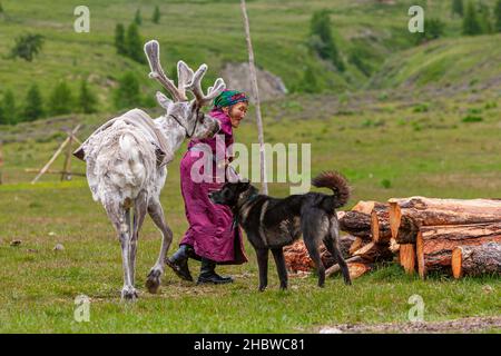 Die turkische Gemeinschaft der halbnomadischen Rentierhirten, die in der nördlichsten Provinz der Mongolei leben Stockfoto