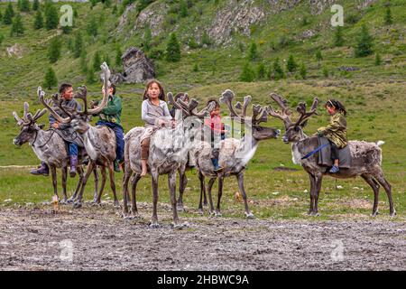 Die turkische Gemeinschaft der halbnomadischen Rentierhirten, die in der nördlichsten Provinz der Mongolei leben Stockfoto