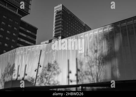 Schwarz-weiß moderne Architektur in Barcelona (Spanien), niedriger Blickwinkel. Natürliches Licht reflektiert Schatten von Bäumen und Straßenlaternen. Stockfoto