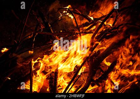 Ein Haufen Äste, der in die Flammen eines Feuers verschlungen ist, ein helles Feuer auf schwarzem Hintergrund Stockfoto