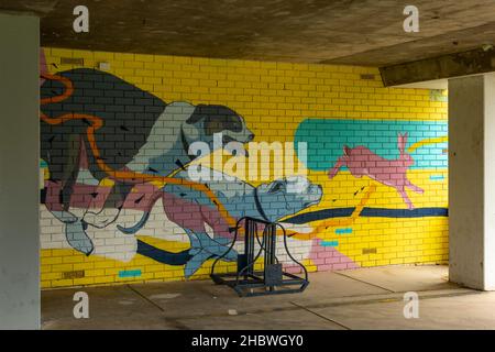 Unter der Library Street Art, Benalla, Victoria, Australien Stockfoto