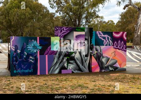 Skateboard Park Street Art, Benalla, Victoria, Australien Stockfoto