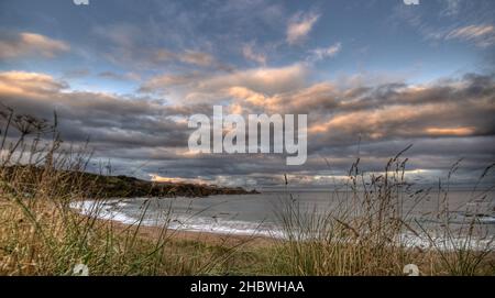 Die Coldingham Bay, Berwickshire, Ostküste Schottlands Stockfoto