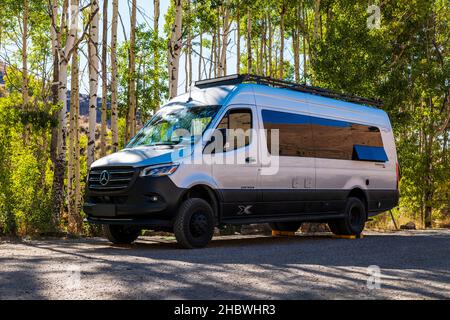 Airstream Interstate 24X Wohnmobil zwischen Aspen Bäumen; Water Canyon Erholungsgebiet; Winnemucca; Nevada; USA Stockfoto