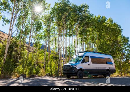 Airstream Interstate 24X Wohnmobil zwischen Aspen Bäumen; Water Canyon Erholungsgebiet; Winnemucca; Nevada; USA Stockfoto