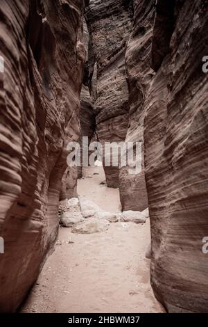 Bauchige Wände des Buckskin Gulch Canyon im Süden von Utah Stockfoto