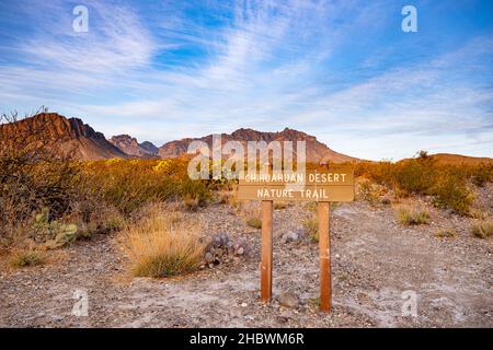 Schild für den Chihuahuan Desert Nature Trail im Big Bend National Park Stockfoto