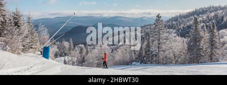 Skifahren. Ski-Portrait einer Frau Alpin Skifahrerin am kalten Tag vor schneebedeckten Bäumen auf einer schönen Skipiste Stockfoto