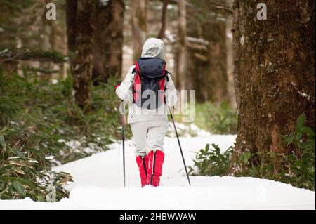 Ein Wanderer spaziert im Winter auf einem verschneiten Wanderweg in Kamikochi, Nagano, Japan. Stockfoto