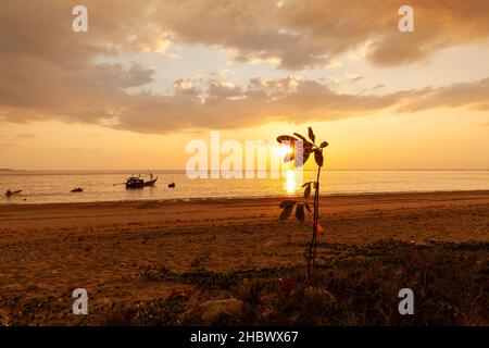 Landschaft farbenfroher Himmel und Fischerboote vertäuten, während die Flut absinkt und die Sonne durch die Blätter am Strand, Phang Nga, Thailan, platzt Stockfoto