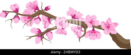 Sakura blüht am Ast, Zweig mit Kirschblüte, blüht im Frühling oder Sommer. Zarte und elegante, zarte Blütenblätter der Knospen. Asiatische Flora Stock Vektor