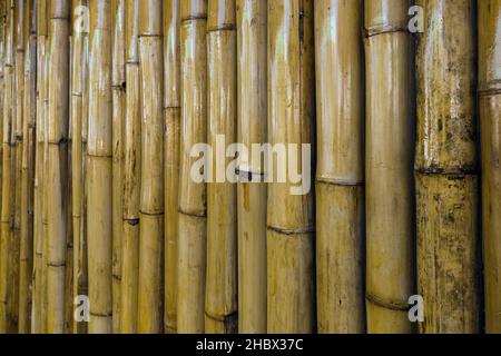 Alte braune Ton Bambus einfache Wand oder Bamboo Zaun Textur Hintergrund für Innen-oder Außenbereich Design Vintage Ton. Hintergrund mit braunen Bambusstäben Stockfoto