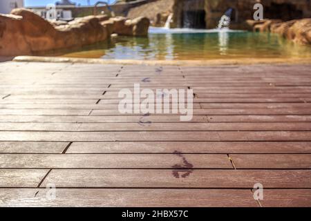 Nahaufnahme Fußabdrücke auf dem Holzboden hinter dem Swimmingpool Stockfoto