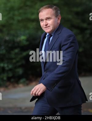 Der Abgeordnete George Eustice, Politiker der Konservativen Partei, Staatssekretär für Umwelt, Ernährung und Angelegenheiten des ländlichen Raums, spaziert in der Downing Street, Westminster Stockfoto