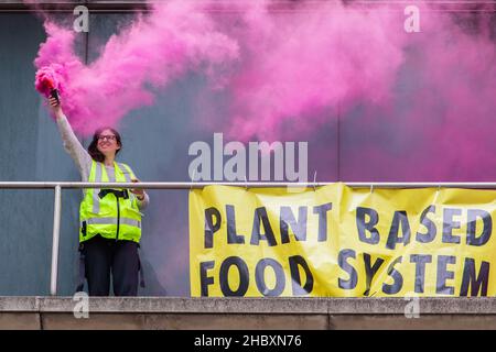 Protest gegen die Rebellion von Tieren auf einem Felsvorsprung bei der Barclays Bank London 2020 Stockfoto