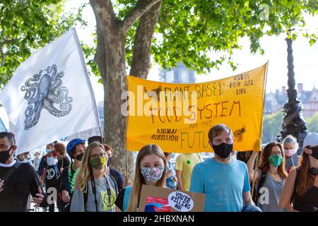 Demonstranten mit einer Flagge, die besagt, dass ein pflanzliches Ernährungssystem mit Masken 2021 durch London marschiert Stockfoto