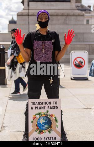 Pflanzenbasierter Lebensmittelprotesten, der auf dem Trafalgar Square mit roter Tinte auf Händen und Plakat London 2020 steht Stockfoto
