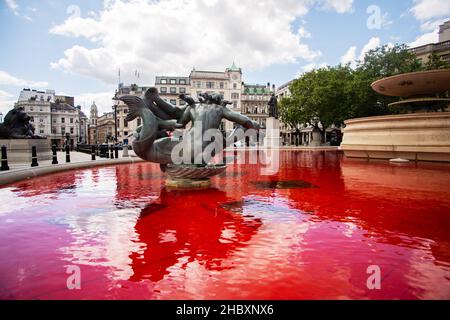 Blick auf das rote Wasser im Trafalgar Square Brunnen nach Tieraufstand Blut an Händen Protest London 2020 Stockfoto