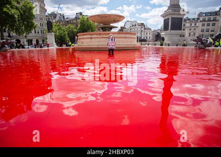 Ansicht des trafalgar Square, rot gefärbt durch Tieraufstand gegen Tierlandwirtschaft London 2020 Stockfoto