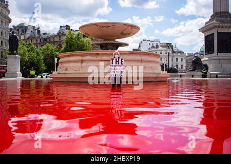 Weite Ansicht des Trafalgar Square Brunnens rot gefärbt mit Tier Rebellion Protestor halten Schild Stockfoto