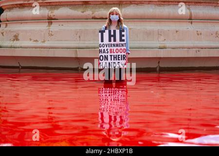 Protestant der Tieraufstände, der auf dem Trafalgar Square steht und am roten Springbrunnen ein Schild mit Blut an den Händen hält London 2020 Stockfoto