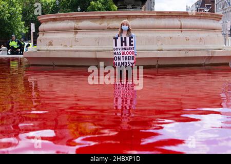 Animal Rebellion Dye Trafalgar Square Brunnen rot aus Protest gegen Tierlandwirtschaft London 2020 Stockfoto