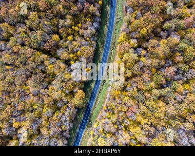 Forststraße mit weißem Auto im Herbst. Luftbildstraße, die einen gelben und goldenen Laubbaumwald überquert, Herbst Stockfoto