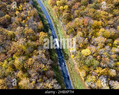 Forststraße mit weißem LKW im Herbst. Luftbildstraße, die einen gelben und goldenen Laubbaumwald überquert, Herbst Stockfoto