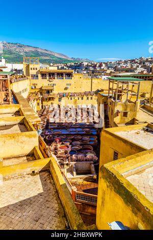 Handwerker färben Leder an Chaouwara Gerbereien in Fez, Marokko Stockfoto