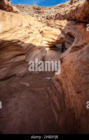 Der Little Wild Horse Canyon ist ein schöner Slot im Südwesten, der durch den San Rafael-Brunnen in der Nähe des Goblin Valley State Park in Utah führt Stockfoto