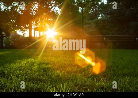 Unschärfe-Park mit Bänken und Bäumen, bei Sonnenuntergang. Schwere Linse Flare aus einem Vintage-Objektiv Stockfoto