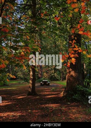 Eine vertikale Aufnahme eines Pfades, der von wunderschönen Herbstbäumen umgeben ist, im Central Park, Burnaby, Kanada Stockfoto