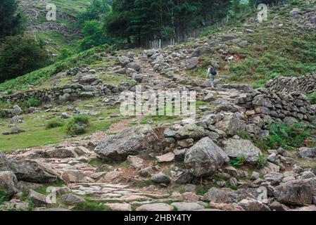 Langdale Walking, Blick auf eine reife Frau, die alleine in Stickle Ghyll läuft, einem anspruchsvollen Trail, der bis zu den Langdale Pikes, Lake District, Cumbria führt Stockfoto