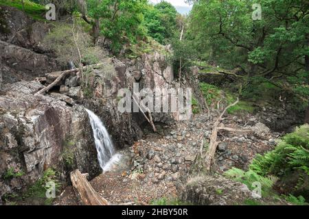 Langdale, Blick auf das Bergwasser, das durch den Stickle Ghyll führt, eine malerische Schlucht in den Langdale Fells, Cumbria, England, Großbritannien Stockfoto