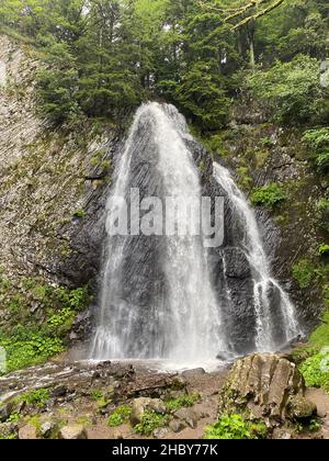 Queureuilh Wasserfall, Le Mont-Dore, Puy-de-Dome, Auvergne, Frankreich Stockfoto