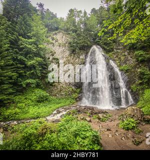 Queureuilh Wasserfall, Le Mont-Dore, Puy-de-Dome, Auvergne, Frankreich Stockfoto